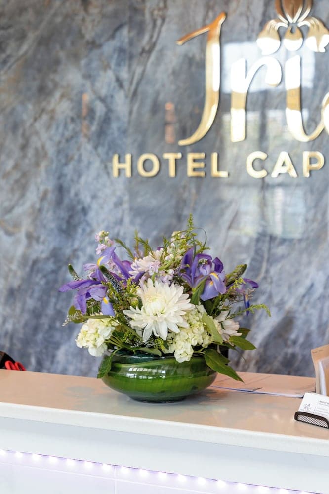 Iris Hotel Cape Cod
