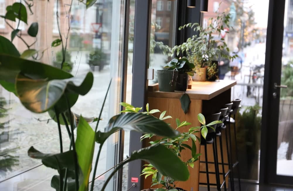 Lobi dinlenme salonu