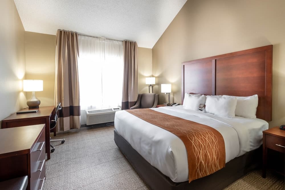 Comfort Inn & Suites Love Field - Dallas Market Center