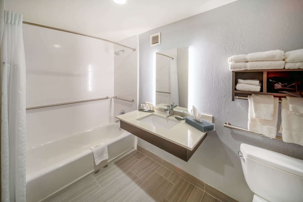 Engellilere uygun banyo
