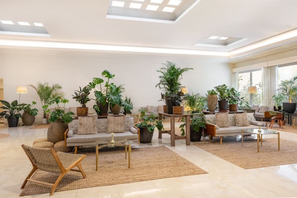 Lobi dinlenme salonu