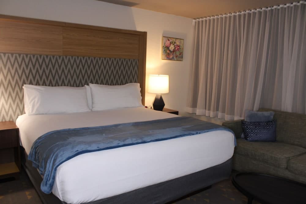 Wyndham Flint MI/Grand Blanc/Bishop Airport/Conference Ct