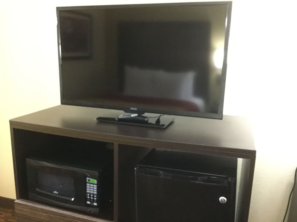 Televizyon