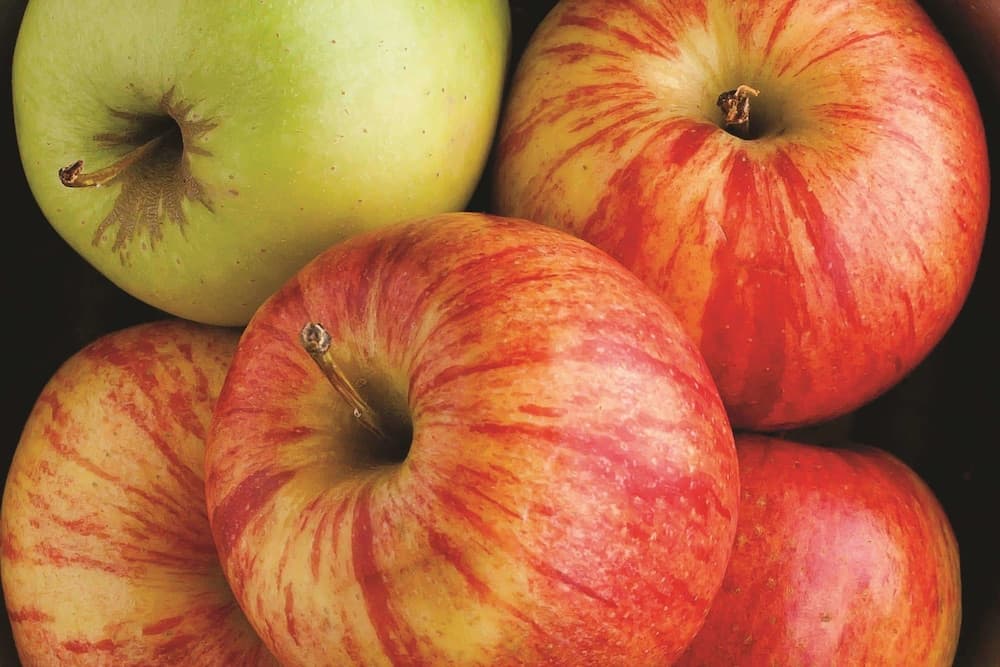 Konaklama yeri imkân ve özellikleri