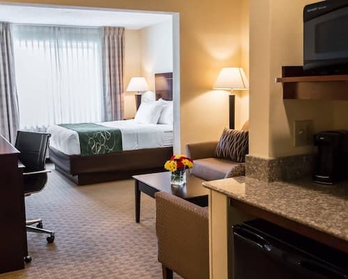 Comfort Suites University Area Notre Dame - South Bend