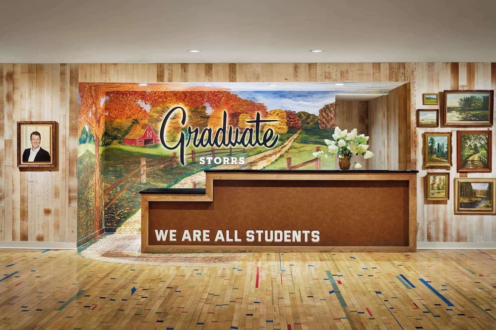 Graduate by Hilton Storrs
