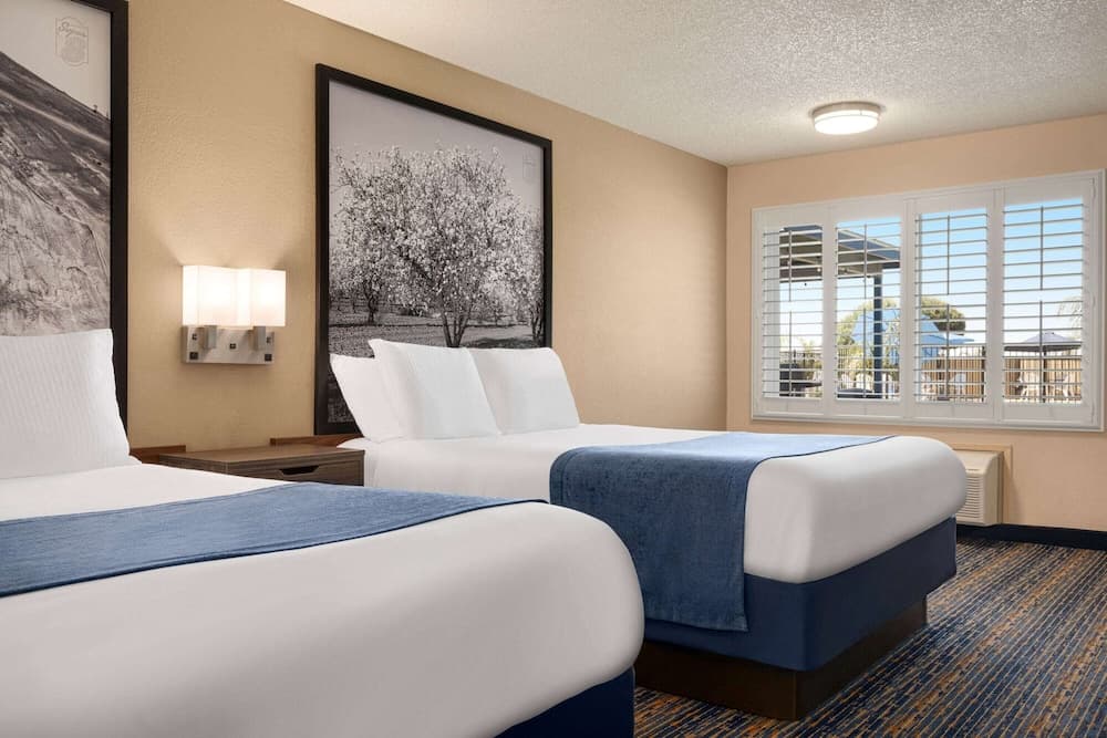 Super 8 by Wyndham Lindsay Olive Tree