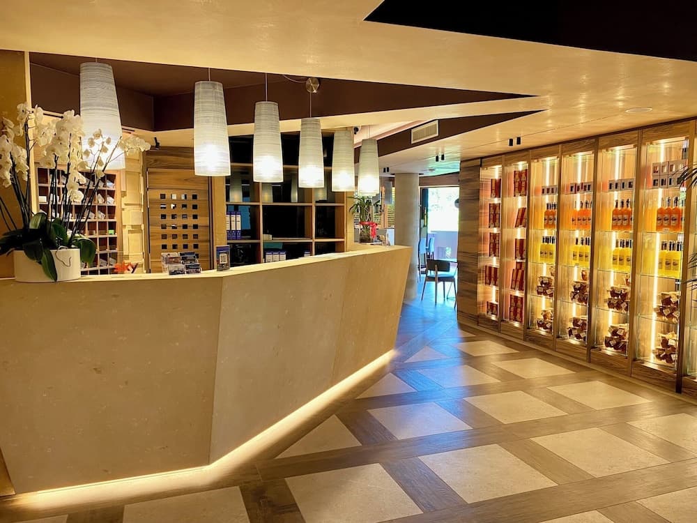 Alevic Hotel Sirmione