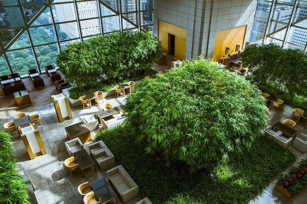 Lobi dinlenme salonu