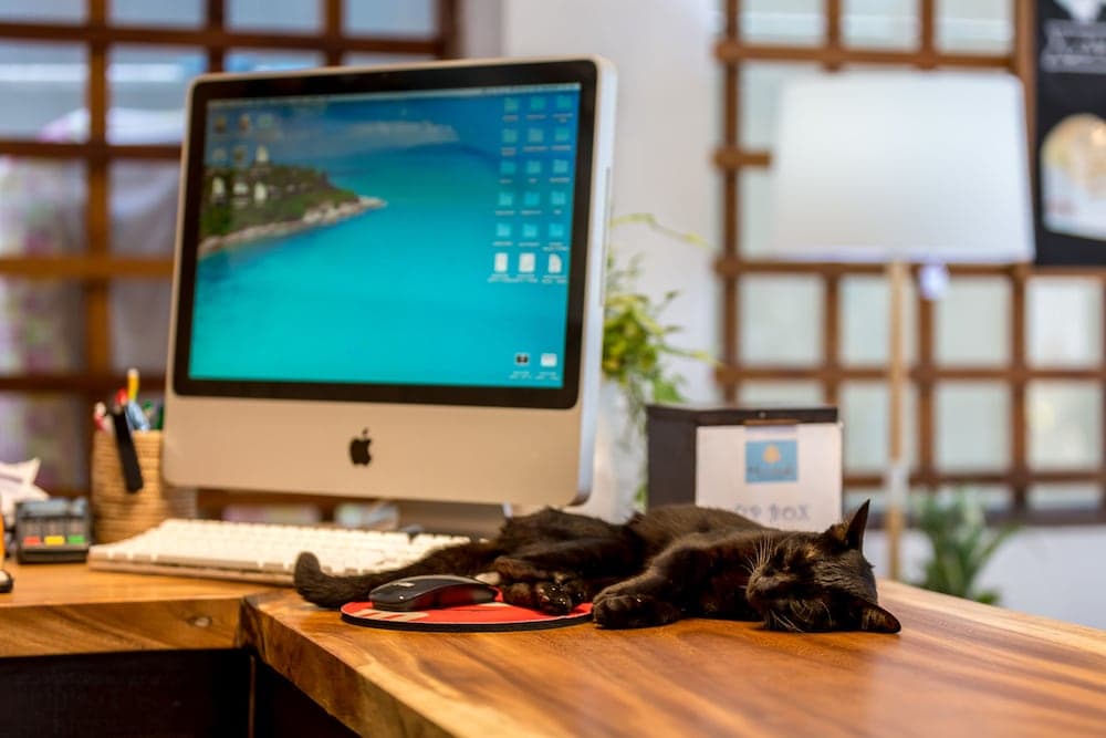 Giriş/çıkış büfesi