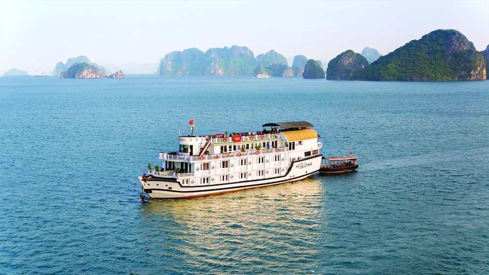 Paloma Cruise