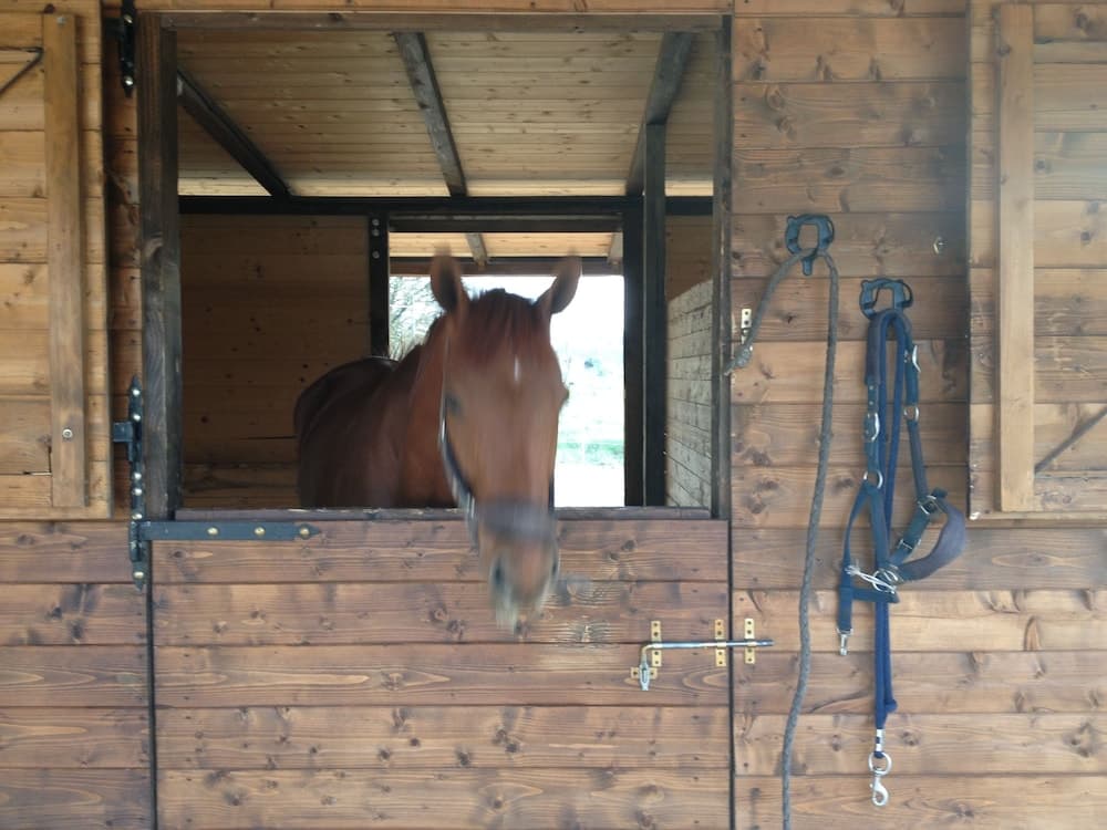 Giriş/çıkış büfesi