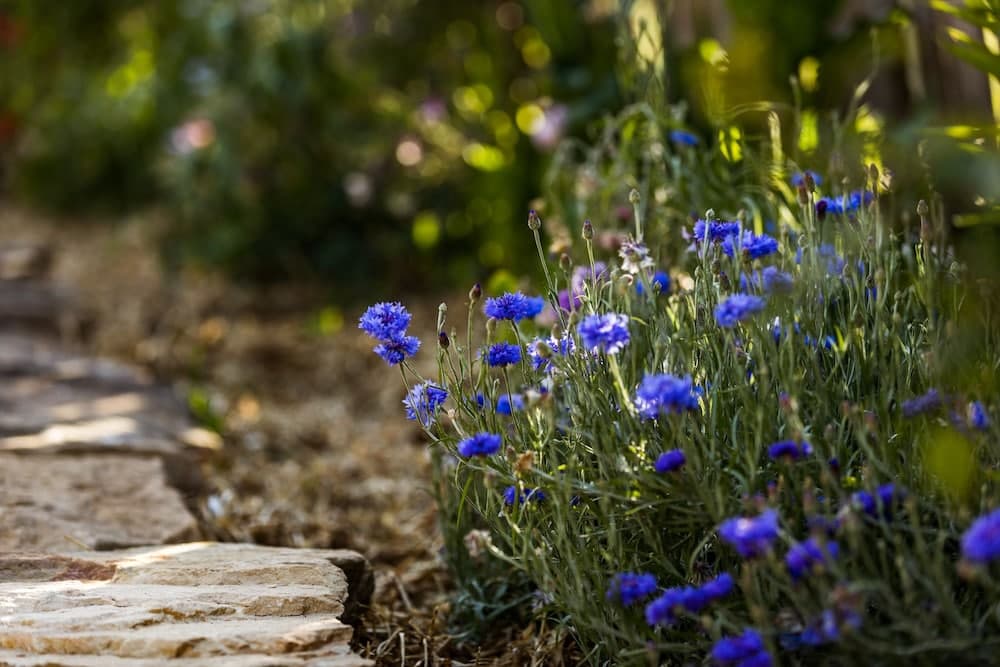 Konaklama yeri alanı