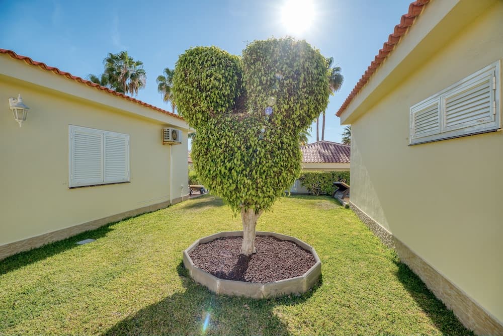 Dış mekân detayı