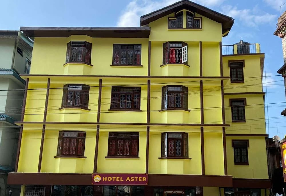 Hotel Aster
