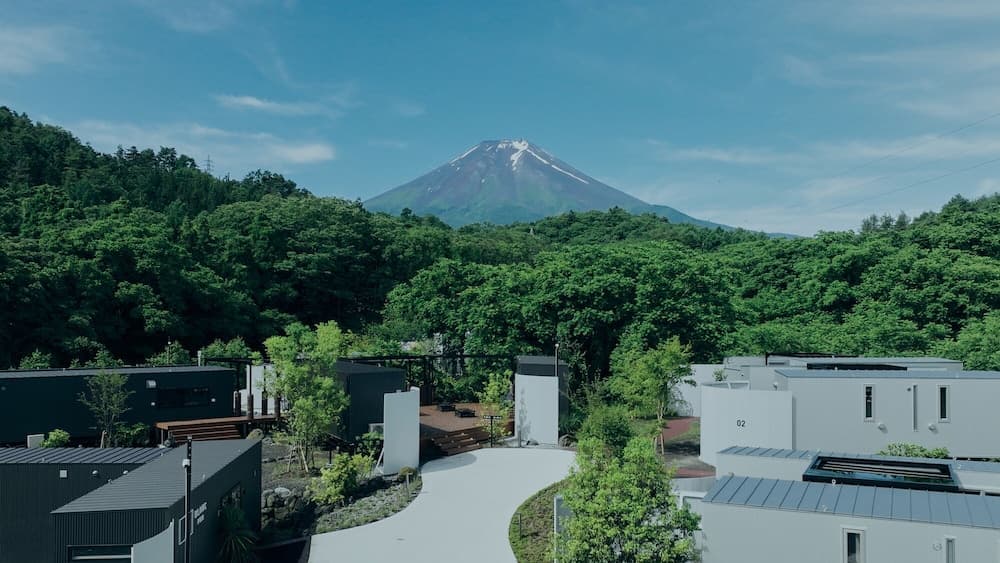 BLANC FUJI