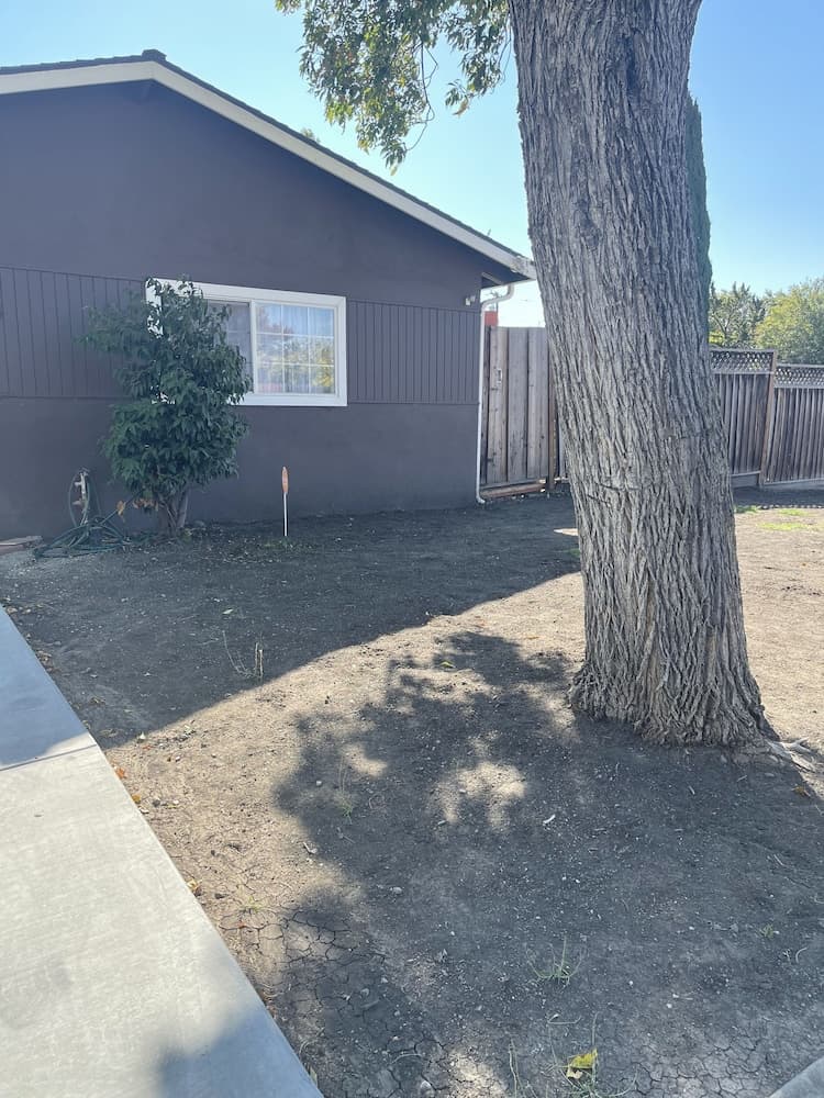 Milpitas Homestays