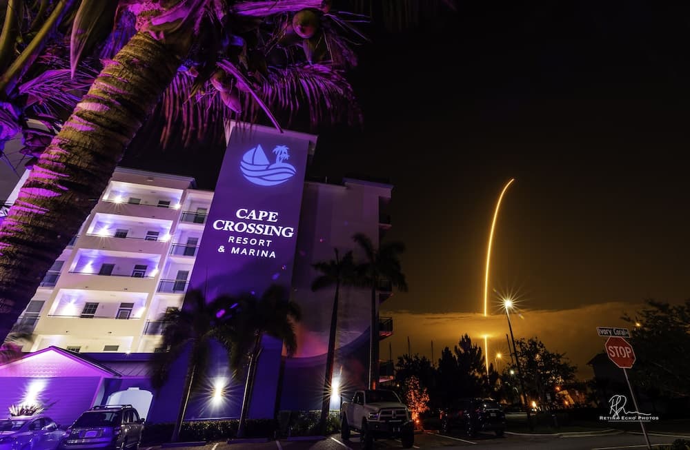 Dolphins Vacation Rental