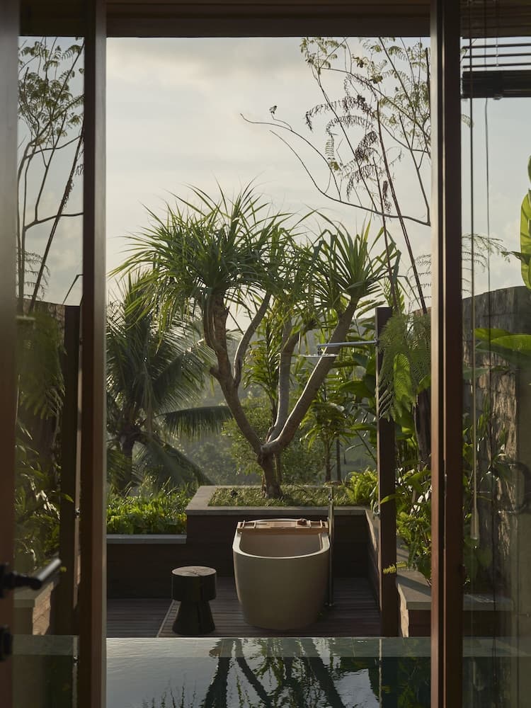 Konaklama yerinden manzara