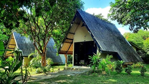 Cashewnut Tree Resort