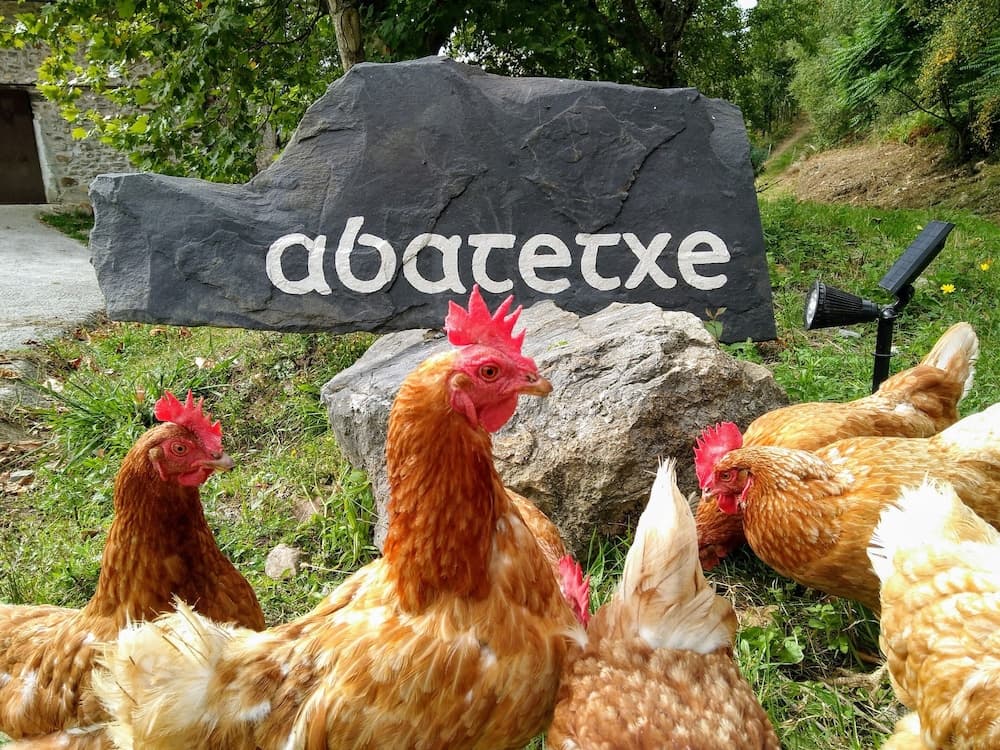 Casa Rural Abatetxe