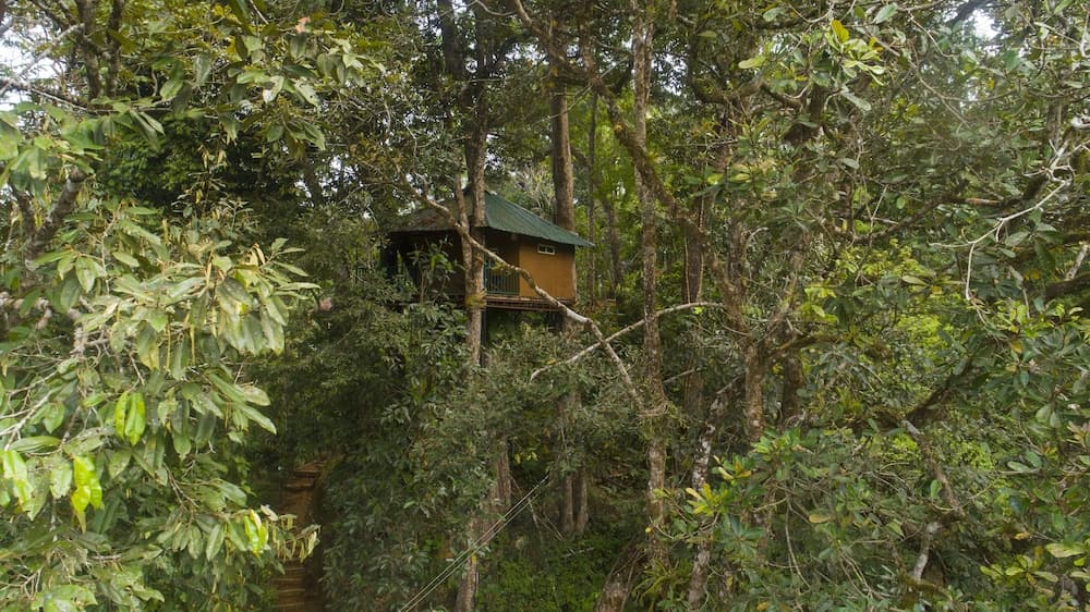 Ela Ecoland Munnar - A Nature Retreat