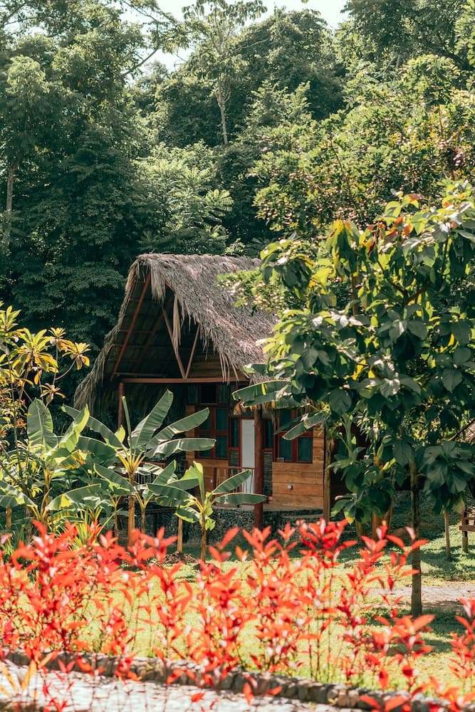 Magic Greeen Tayrona