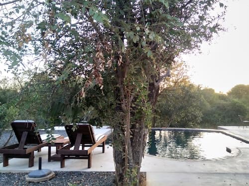 Leadwood Tree Safari Lodge