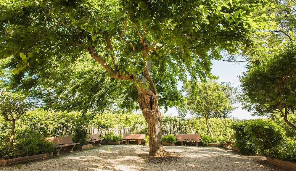 Il Casale di Donoratico con piscina