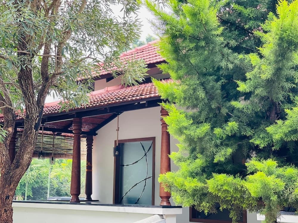 Aara Jungle Resort