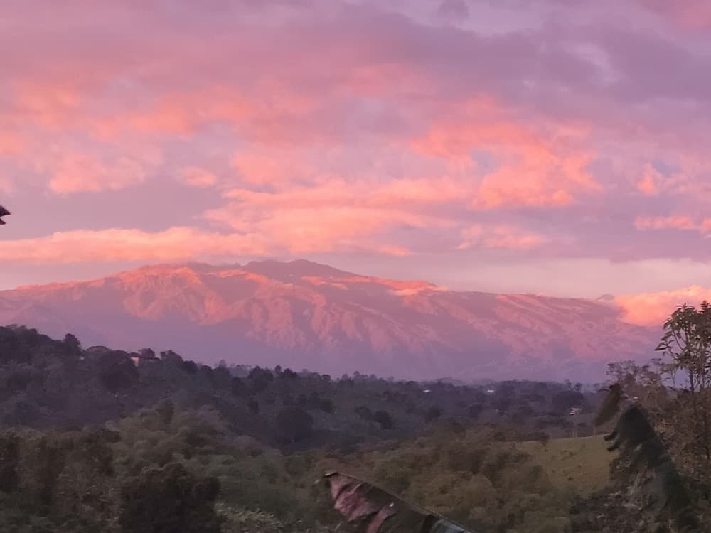 Tanager Lodge Quimbaya