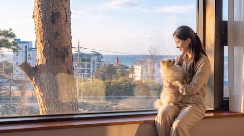 Gangneung Dangdangi Dog Pension Blue