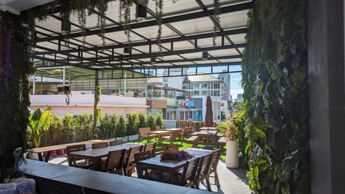 Urban Jungle Hostel