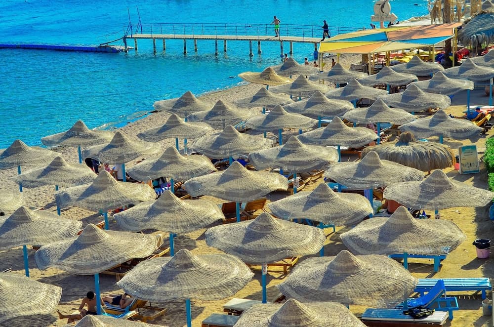 Sharks Bay Hotel & Padi Butterfly