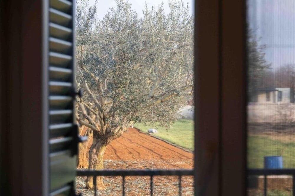 Isabell - With Swimming Pool - H