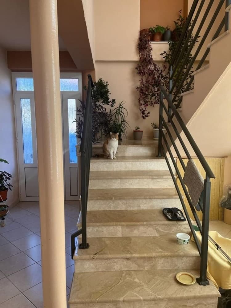 Kate - Free Parking - A3 Srednji