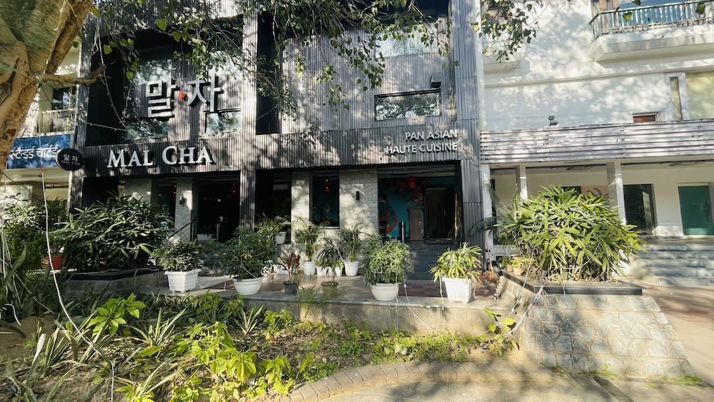 Saltstayz Select - Malcha & Chankyapuri