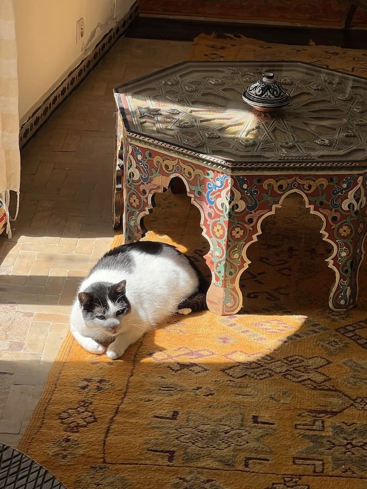 Riad Oasis d'Asilah