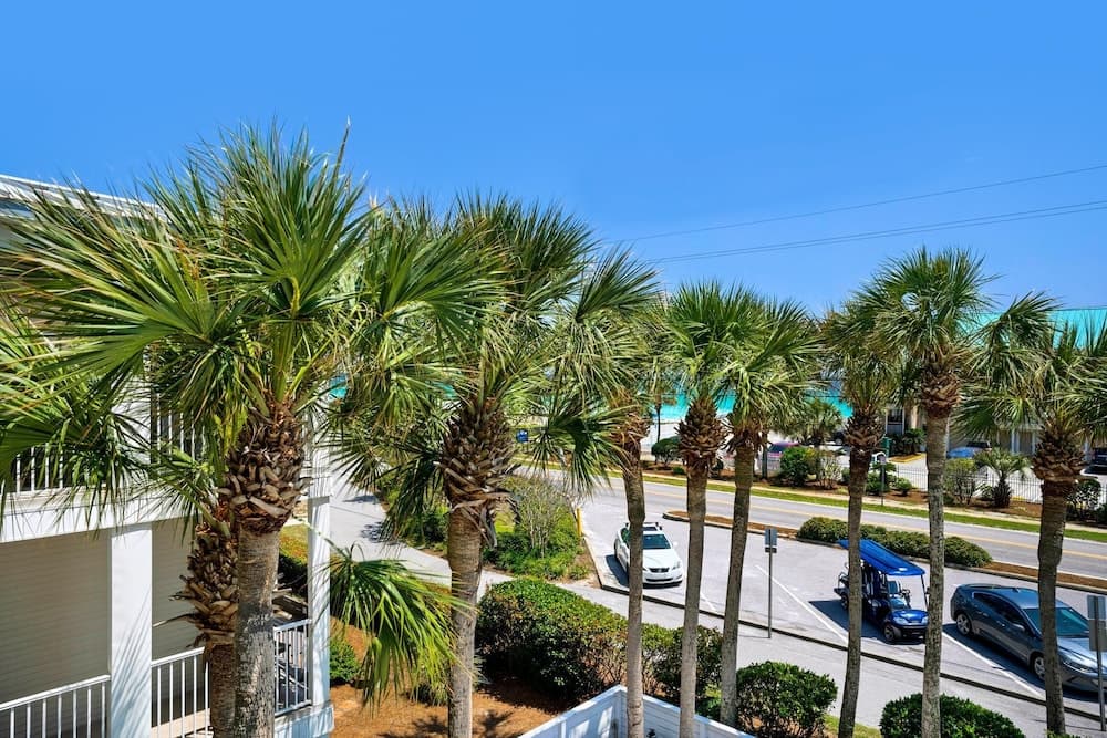 Grand Caribbean East 305