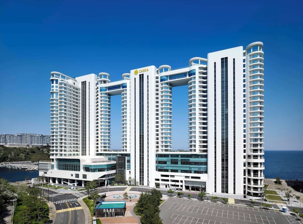 Cassia Sokcho