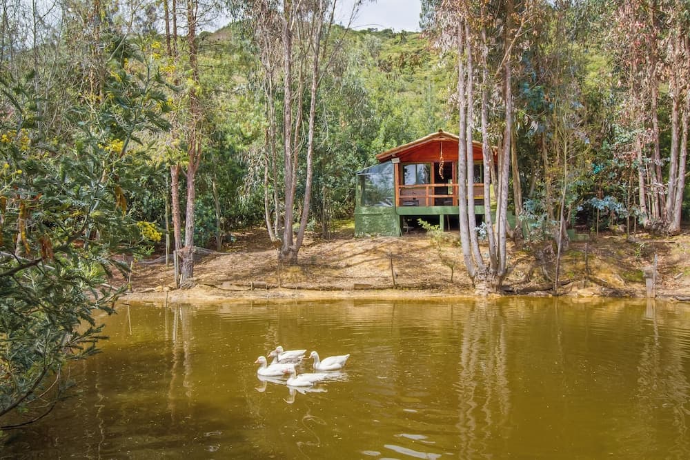 Glamping Experience Savieza