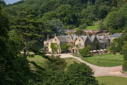 THE PIG at Combe - Devon