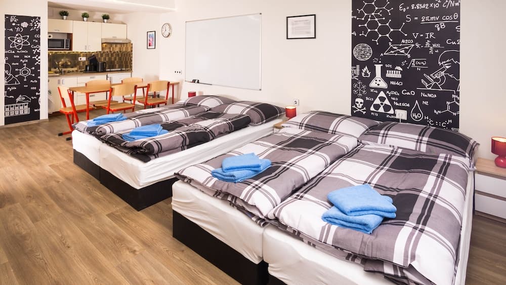 School Apartment by metro stop Vyšehrad