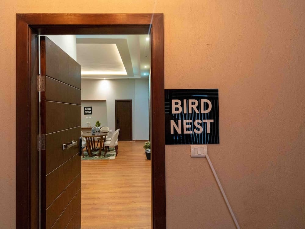 Bird Nest Near Point 90