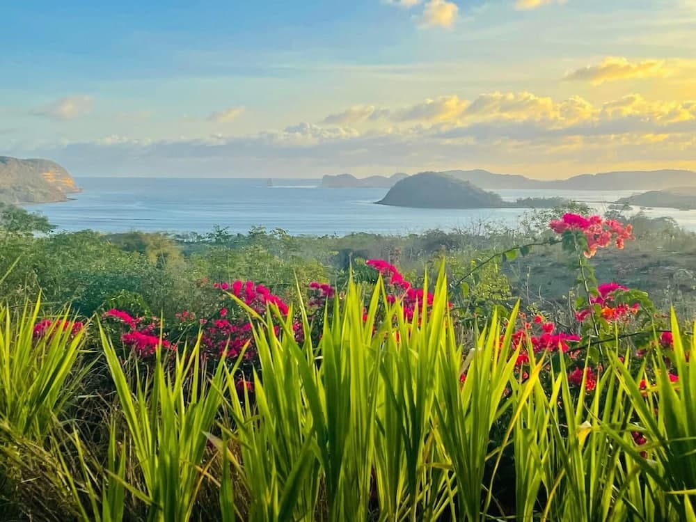 Lobster Bay Resort
