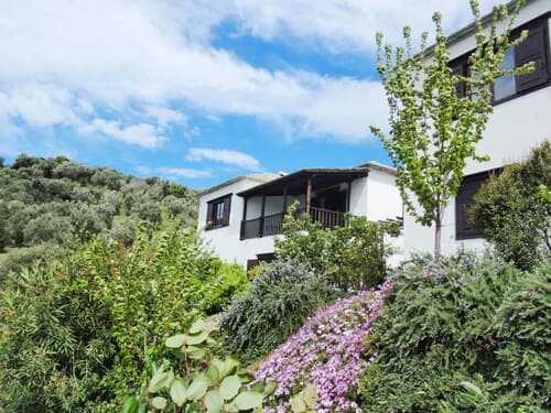 Traditional Luxury House In Pelion "erato"