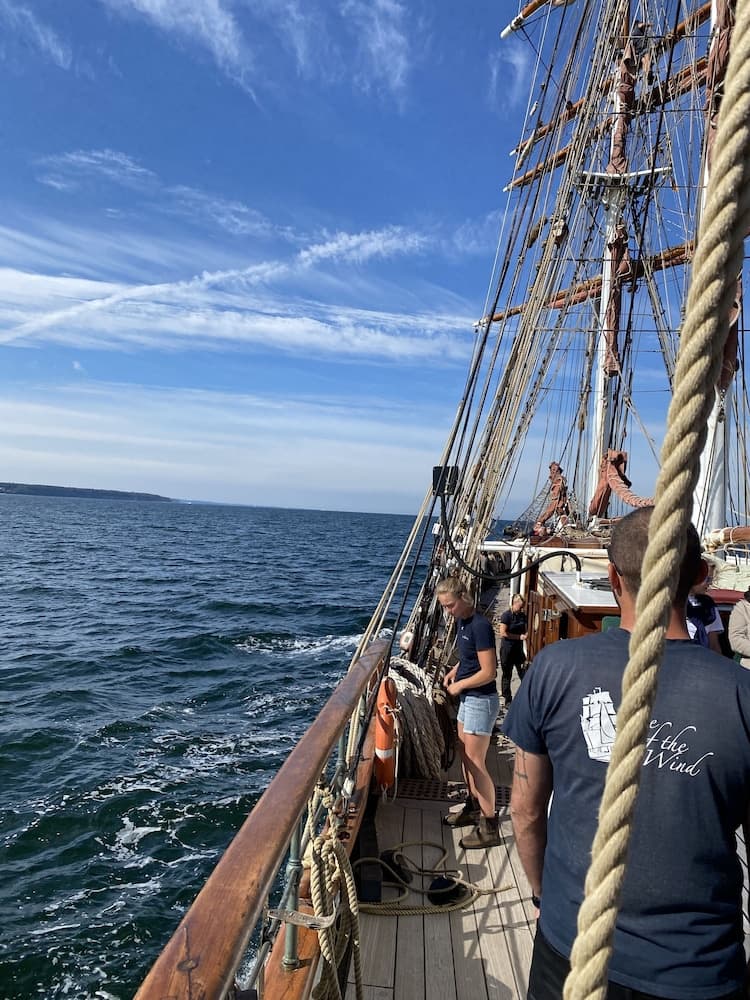 Pension Villa Ostseetraum