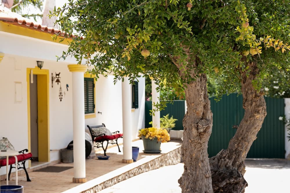 B&B Quinta da Romãzeira