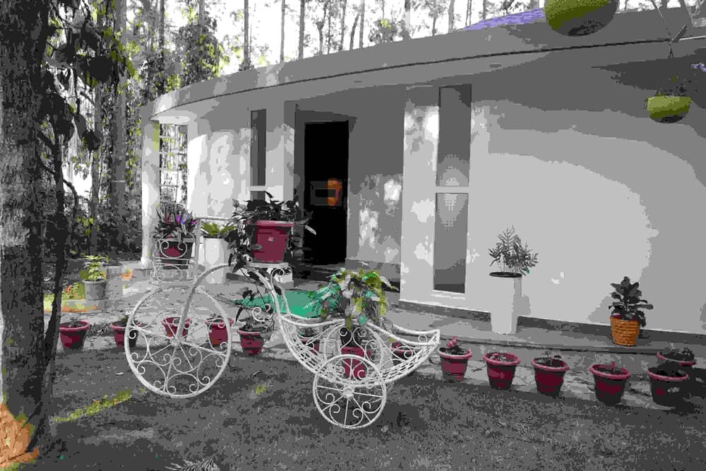 One Piece Homestay