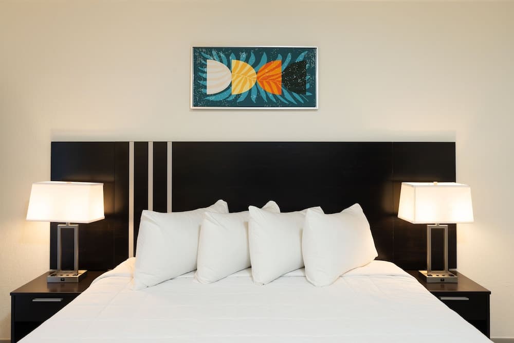 OASIS BAY SUITES, Tampa, Busch Gardens, USF